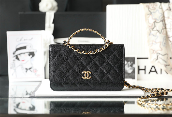 Chanel 샤넬 WOC 미니백 C651510