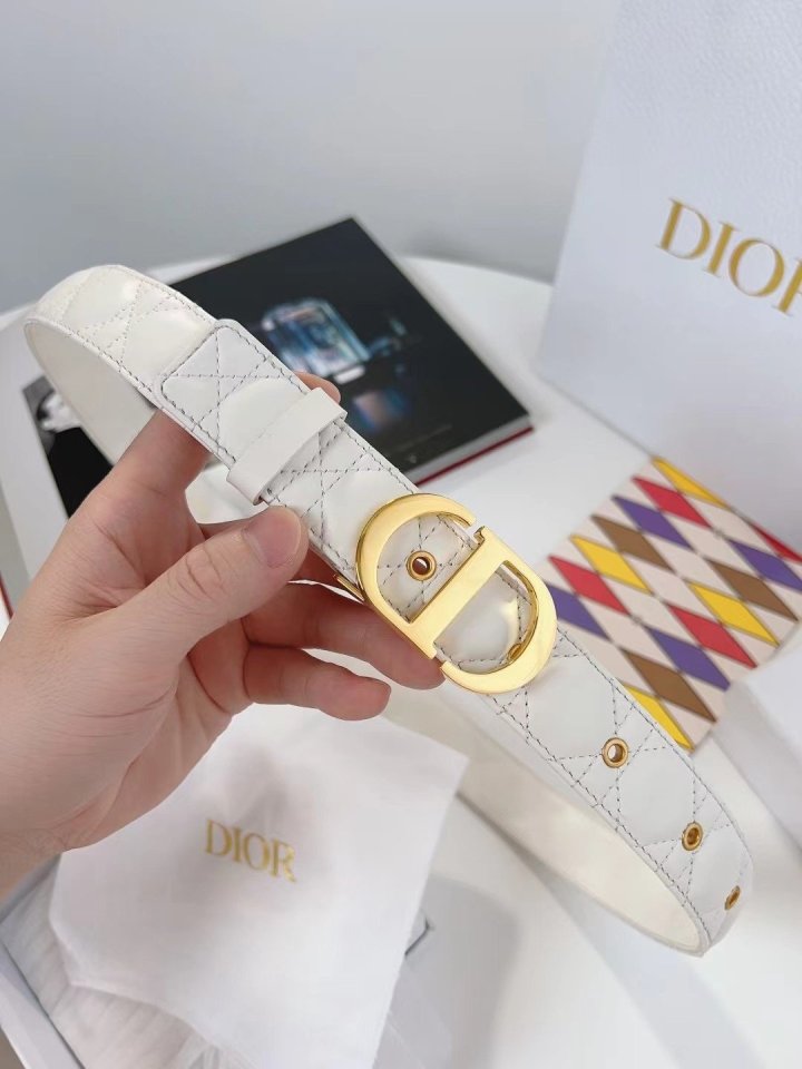 Dior 디올 벨트