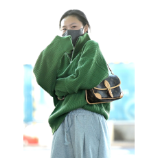 27위 [마마무 화사] Louis Vuitton 루이비통 다이앤 모노그램 핸드백