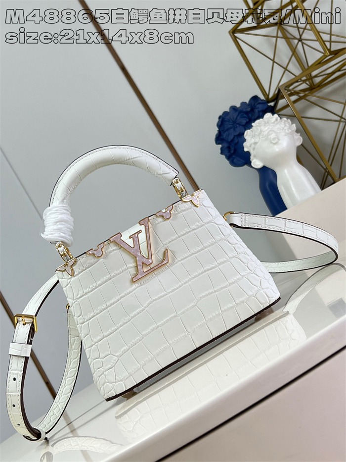 LOUIS VUITTON 루이비통 카푸신 미니 M48865 2024/신상