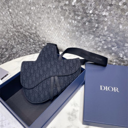 DIOR 디올 오블리크 새들백 M9001 2024/신상 2COLOR