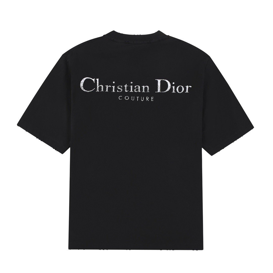DIOR 디올 반팔티 2COLOR